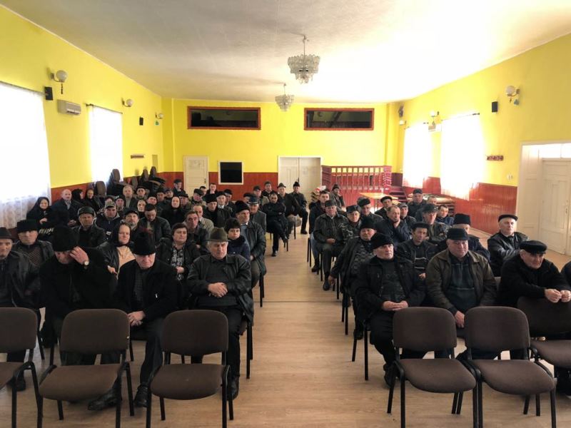 Înscrierea oilor la turme are loc pe 31 martie