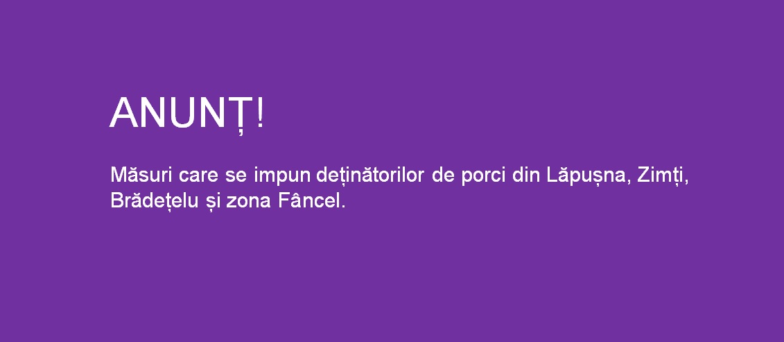 Anunț pentru deținătorii de porci din Lăpușna, Zimți, Brădețelu și zona Fâncel