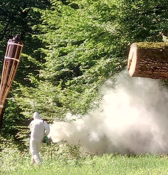 ANUNȚ IMPORTANT: Acțiune de dezinsecție pe raza comunei, începând cu 17 iulie