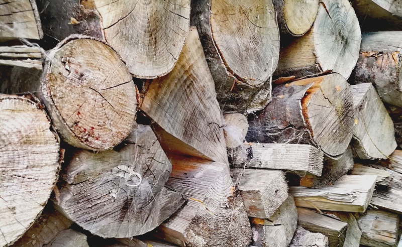 Lemne de foc pentru populație la Ocolul Silvic Fâncel