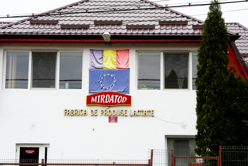 Sărbătoare la fabrica de produse lactate Mirdatod, Ibănești
